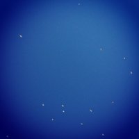 silviajesteban (@silviajesteban) 's Twitter Profile