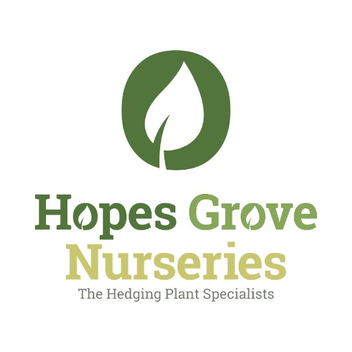 Keeping you up to date, with news, offers & advice, from us here at our award winning, family run nursery in the heart of Kent.