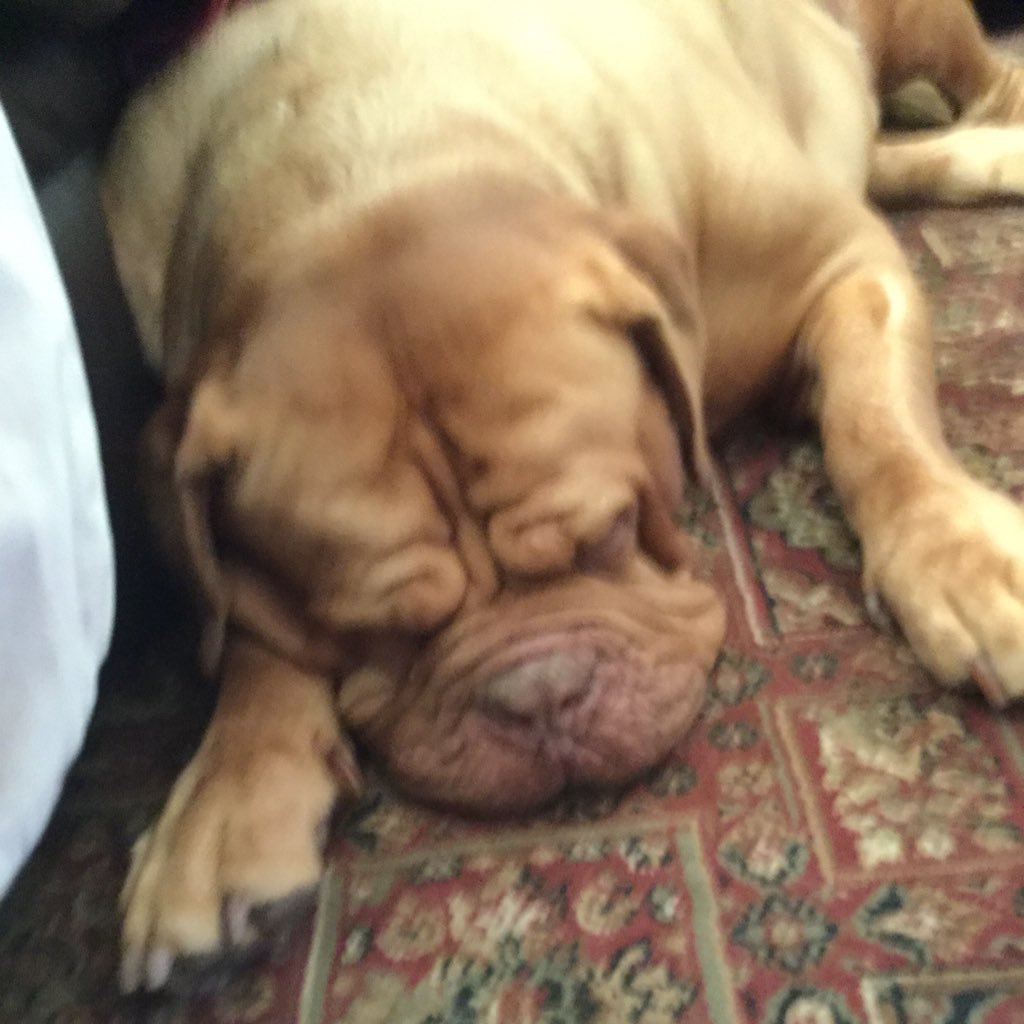 charlie04612277's profile picture. single and love it