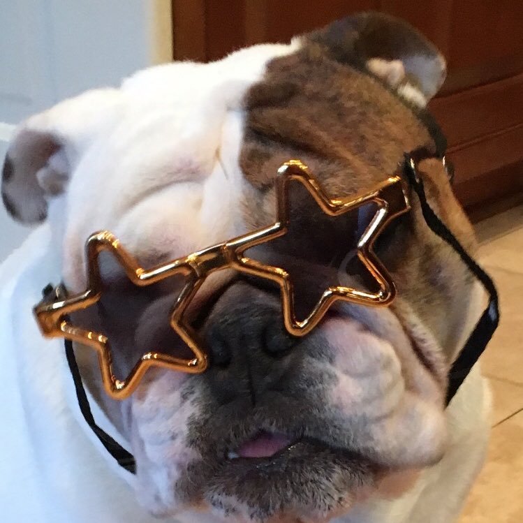 captainsbeatty's profile picture. 