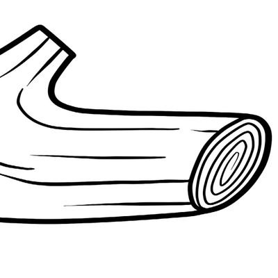 bout_d_bois's profile picture. 