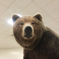 Etown Bears Athletics (@easdathletics) 's Twitter Profile
