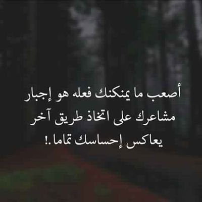SOJdmy1oJTnevU9's profile picture. 