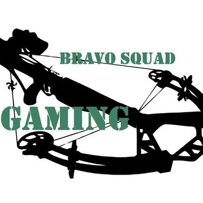 We are a new group focused on developing and managing a competitive gaming environment for amateur players looking for a more intense gaming experience