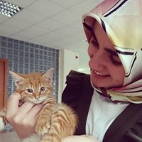 Dilek Mandal (@dilek_mandal) 's Twitter Profile Photo Dilek Mandal (@dilek_mandal) 's Twitter Profile Photo
