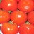 ICAF_EUROPE's profile image