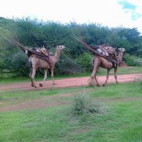 Ahmedkher (@ahmedkher10) 's Twitter Profile Photo