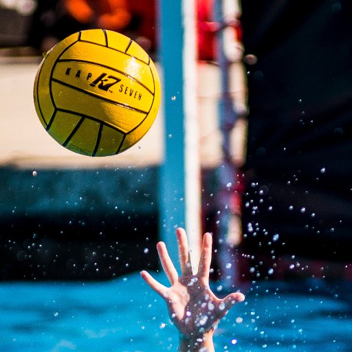 NCAA Division 3 men's and women's water polo programs.