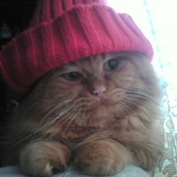 S7YokIO (@s7_io) 's Twitter Profile