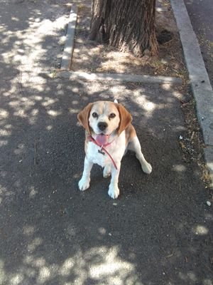 BeraldiLuciano's profile picture. 