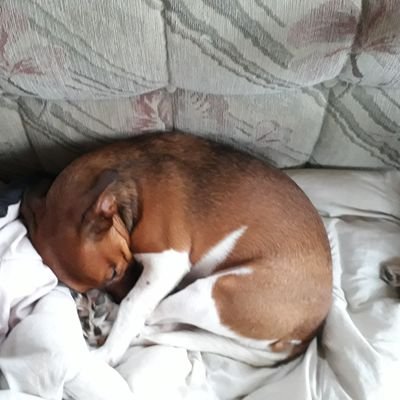 NeilMor4's profile picture. 