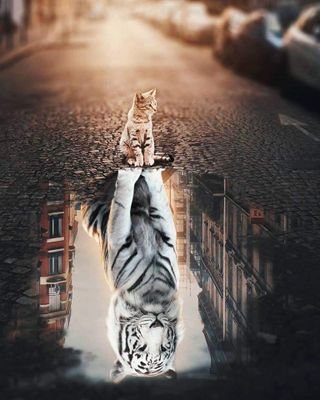 silva_yisenia's profile picture. 