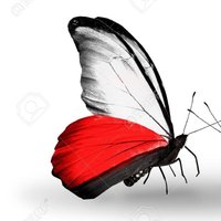 AggerToo 🇵🇱 #Nawrocki2025🇵🇱 #PociagPrawych🇵🇱 (@aggertoo) 's Twitter Profile