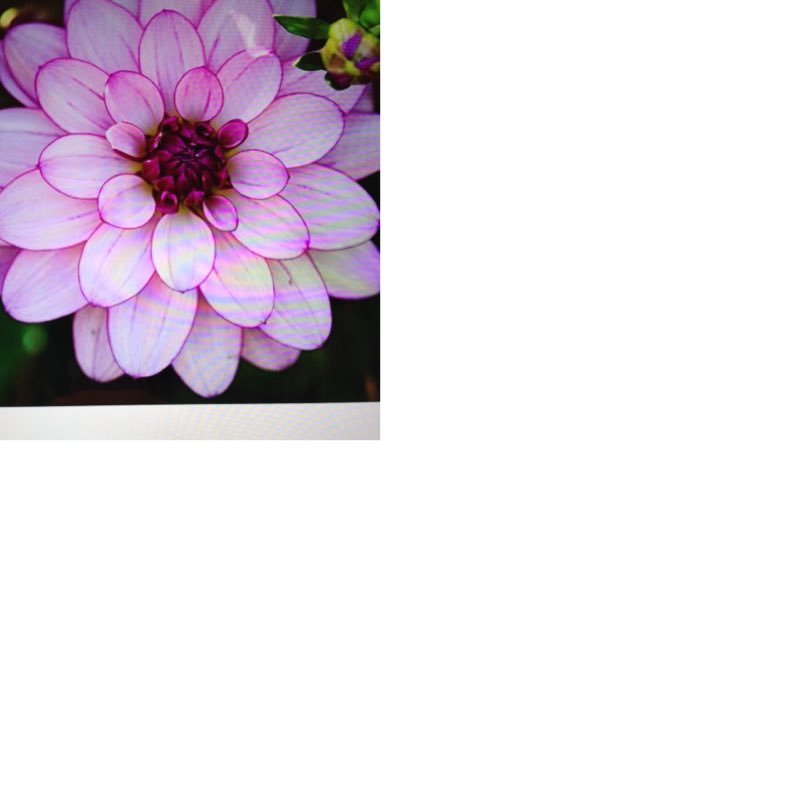 jenny37678082's profile picture. 