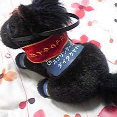 はむりん♡ はむりん (@HAMUHAMUHAMURIN) / Posts / X