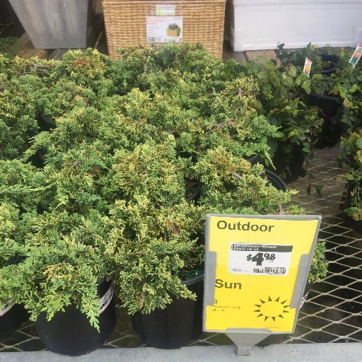 LinearLighting's profile picture. 