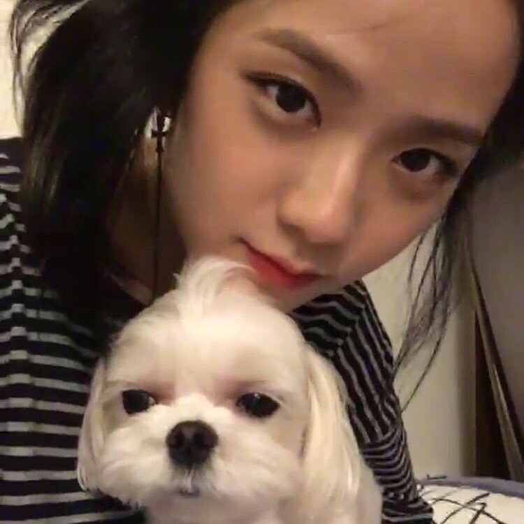 ringdingong's profile picture. 