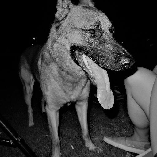 JexBarretta's profile picture. 