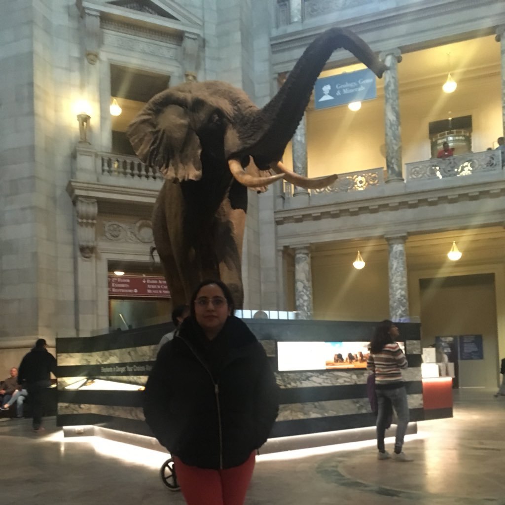 #IBMer #watsonmarketing #watsonsupplychain #watsoncommerce  #trips #movies #economy #art #technology #cognitive #watson #partners tweets are my own Mexico City