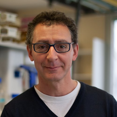 Scientist Molecular Virology, biker 🚴🏽‍♂️ and runner 🏃🏼‍♂️ 😊