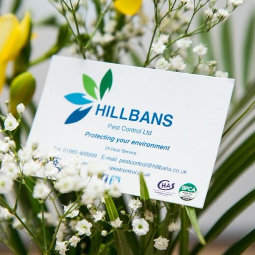 Hillbans Pest Control Ltd are the largest dedicated pest control company on the Isle of Wight.
