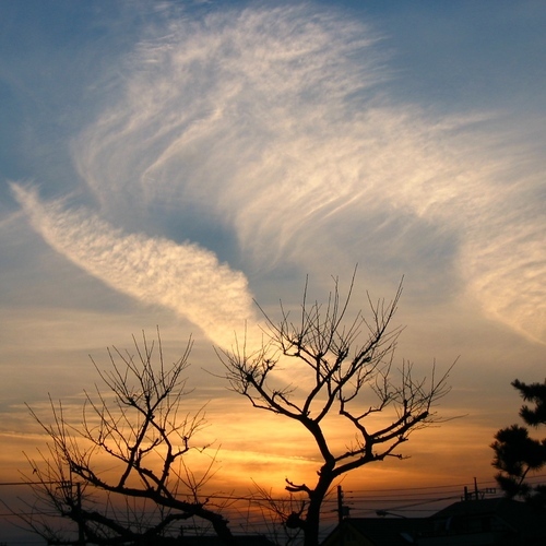 農工系学部→都市を科学すべく首都大饗庭研究室へ。まちあるきと写真が好き。相棒はロモのfisheye2。相原の間伐材でいろんなものを作ってます！建築の設計業務＋大学の研究員として多摩ニュータウンで活動中。 @koeda_plus @lovetokyoforest @tama_minami @timberize_bct