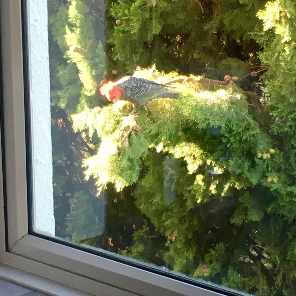 johnstonrs's profile picture. 