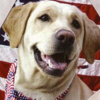 GG_Lab_Rescue (@gg_lab_rescue) 's Twitter Profile
