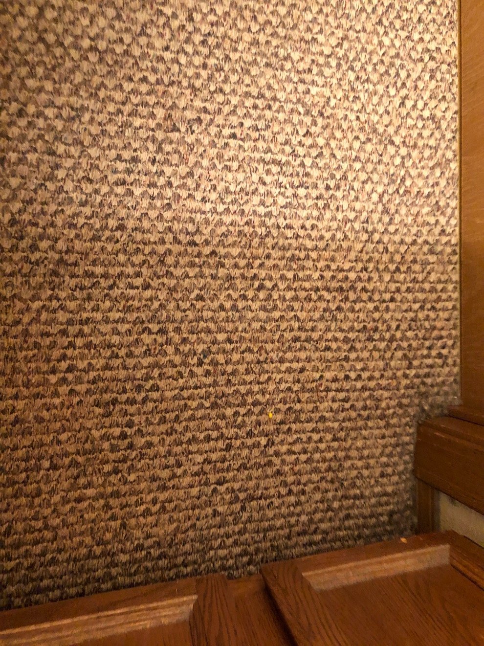 angieadams92's profile picture. 