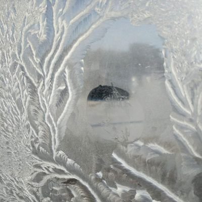 sheena453's profile picture. My opinions are my own.