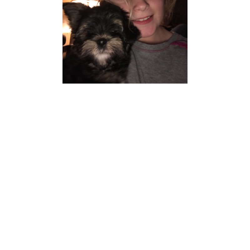 mollie86508143's profile picture. Games Travel Art