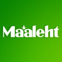 Maaleht