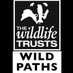 Wild Paths (@wild_paths) Twitter profile photo Wild Paths (@wild_paths) Twitter profile photo