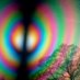 Art of Science - Bristol Uni (@uob_artsci) Twitter profile photo Art of Science - Bristol Uni (@uob_artsci) Twitter profile photo
