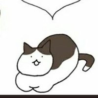ハチワレ猫🐱（R.Nちいちょ）(@neko8ware) 's Twitter Profile Photo