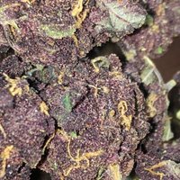 Marijuana Mane (@jacob09521118) 's Twitter Profile