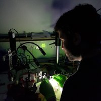 Liad J. Baruchin (@intoneurons) 's Twitter Profile