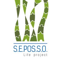 LifeSEPOSSO(@LifeSEPOSSO) 's Twitter Profile Photo