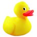 GuMmiDucks (@gummiducks) Twitter profile photo GuMmiDucks (@gummiducks) Twitter profile photo