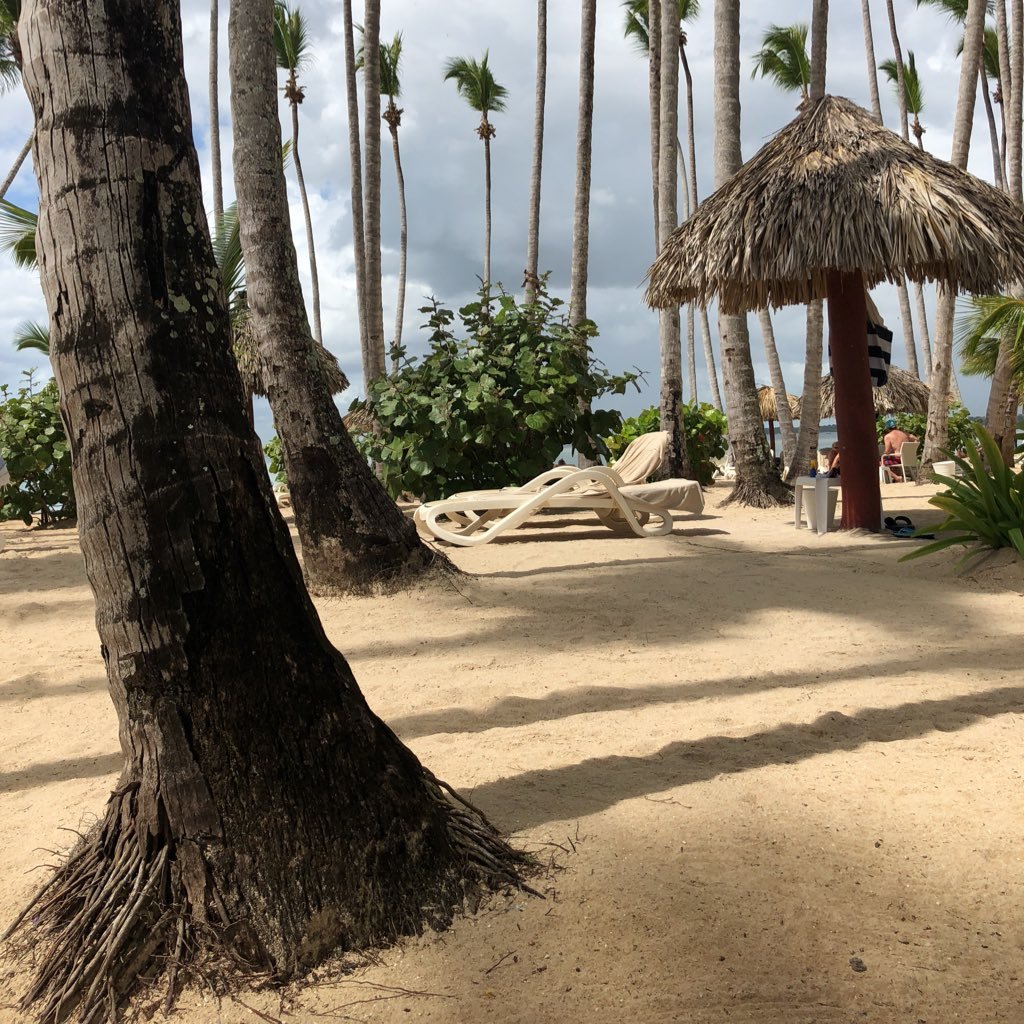 pedrojrc62's profile picture. Micro-León nace en el año 1990 con la intención de satisfacer a sus clientes y amigos plenamente.