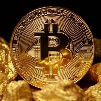 BitcoinexchEx's profile picture. 