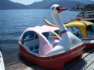 ari102jp's profile picture. 中禅寺湖にたまにいます.
普段は千葉に住んでます。中禅寺湖では、白鳥ボートのお世話してます。