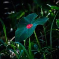 এস খাঁন (@dbncd3) 's Twitter Profile