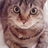 mojury_halfmoon