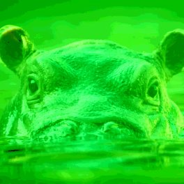 NOT OFFICIAL #Fiona is a DRAIN ON #OHIO ECONOMY  Too much money/ attention devoted to the stupid lives of caged hippos. #BORING #SAD #DRAINTHEZOO #MAGA2020 #KAG