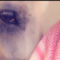 ู
ูุฑู .. ๐ (@r6msxr0) 's Twitter Profile