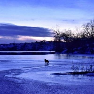 Ex-diplomate canadienne à la retraite, intéressée à contribuer à la construction d'un monde plus juste & équitable, chacun à sa façon, chacun dans son milieu.