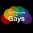For The Love Of Gays