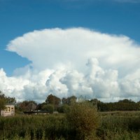 Meteo Tuitjenhorn (@meteo_thorn) 's Twitter Profile Photo