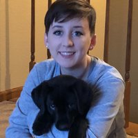 Dave Beik (@davebeik) 's Twitter Profile